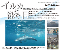 イルカと泳ぐ日　DVDパンフ縮小バージョン